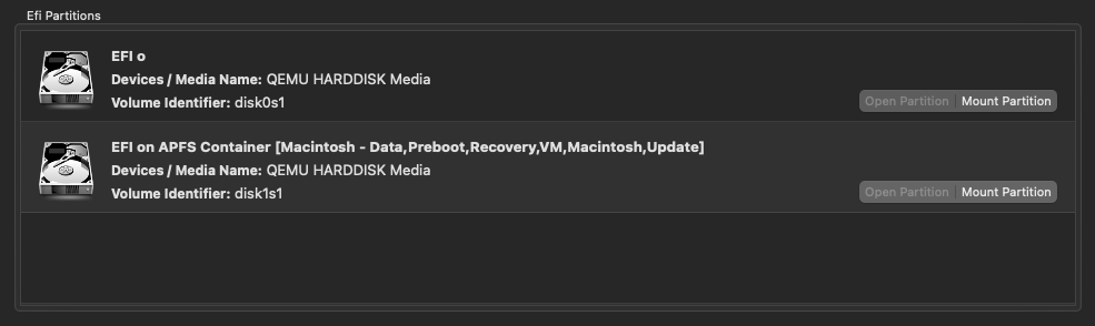 OpenCore EFI Partitions